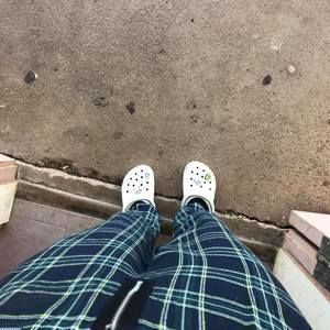 Meet your Posher, Benji